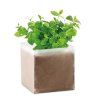 Kompost so semienkami bazalky , Beige (Farba Beige)