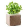 Kompost so semienkami bazalky , Beige (Farba Beige)