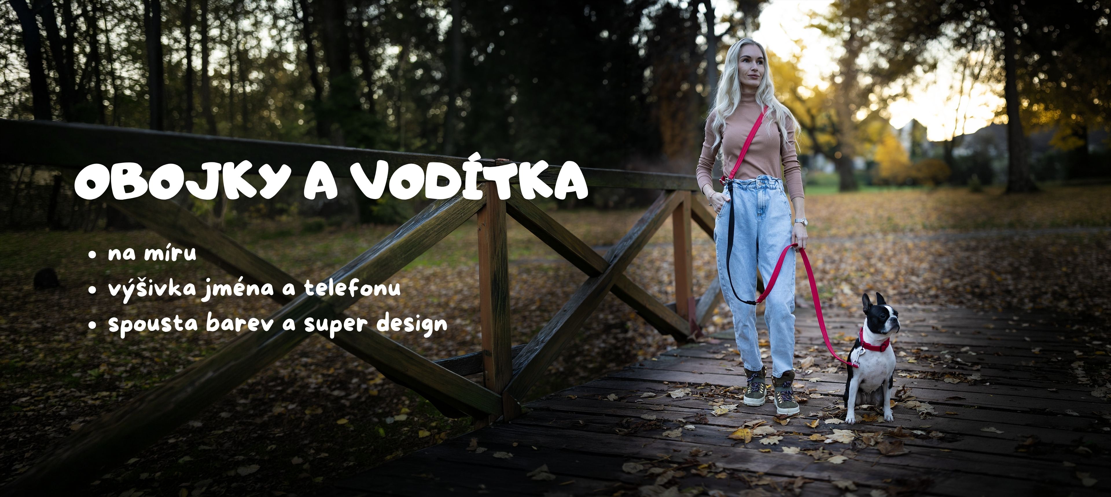 Obojky a vodítka pro psy