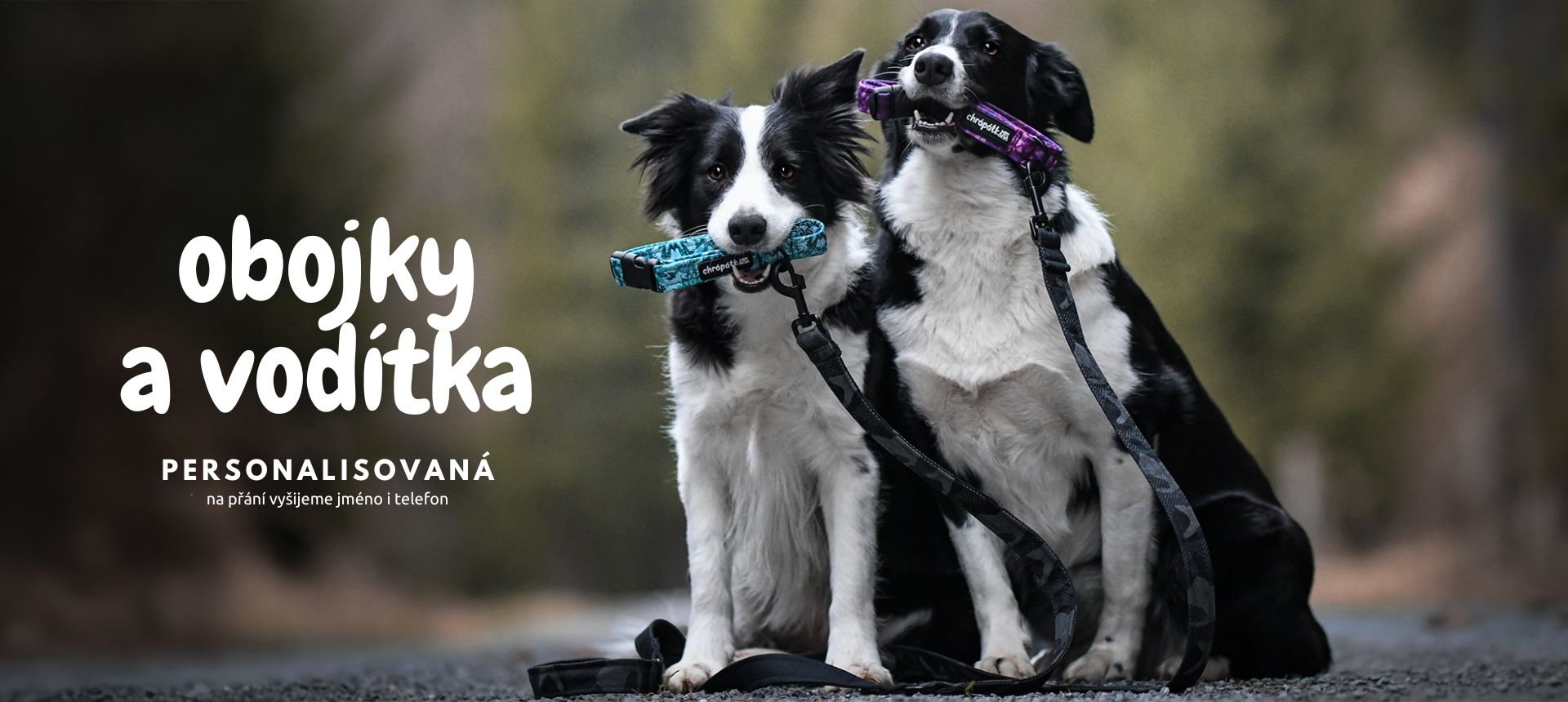 Vodítka a obojky