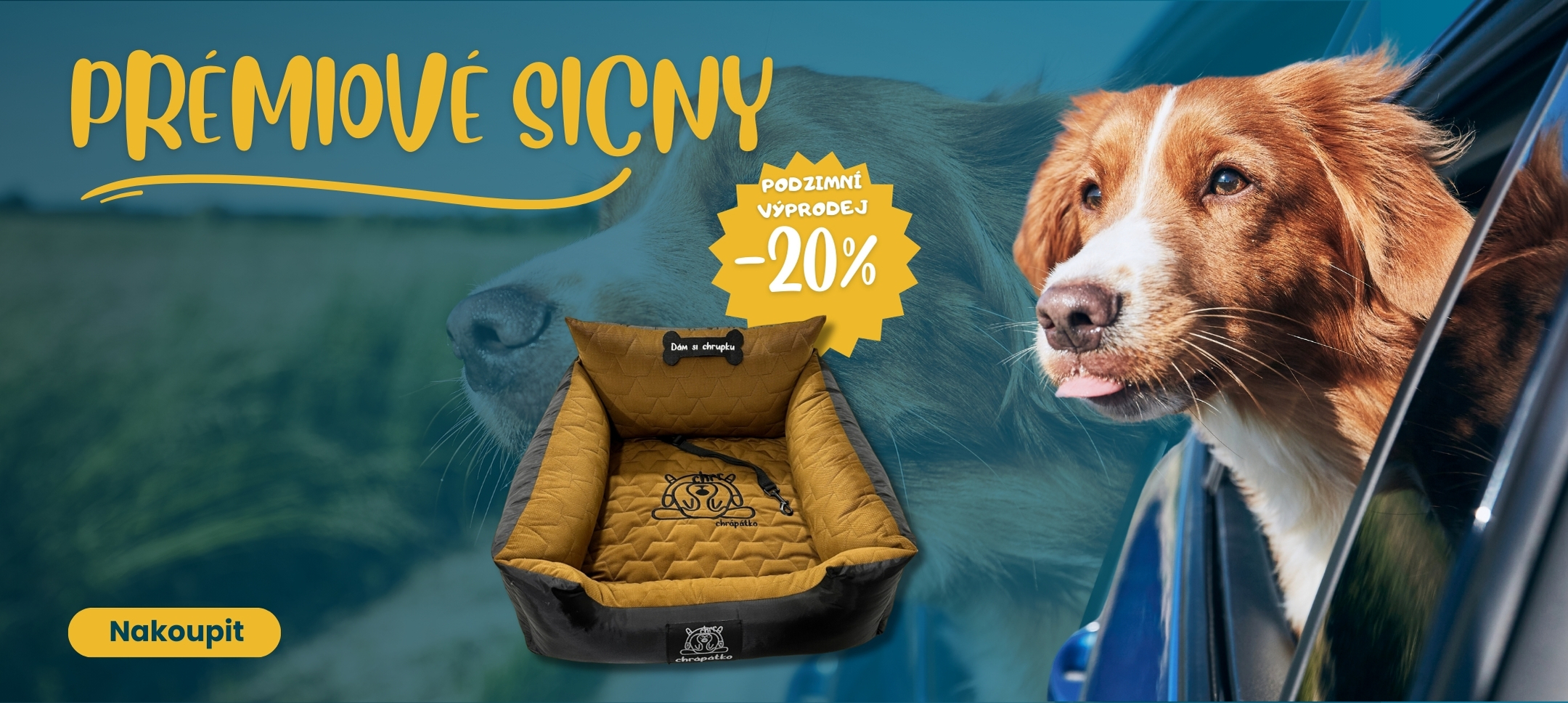 autosedačka pro psa se psem v autě