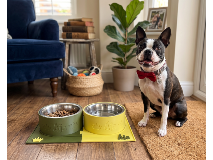 misky pro psa chrapatko puzzle 5