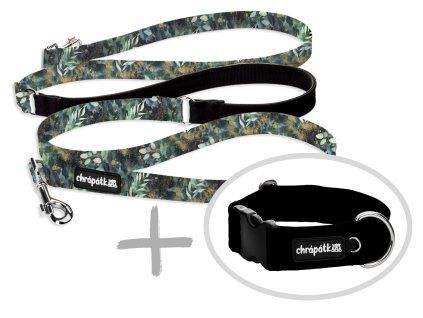 Set obojek a přepínací vodítko Periwinkle combi 2