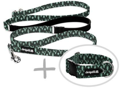 Set obojek a přepínací vodítko Cactus