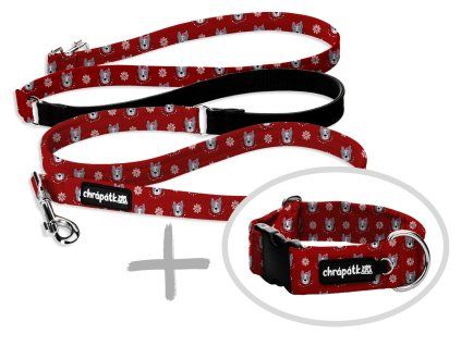 Set obojek a přepínací vodítko Christmas dog