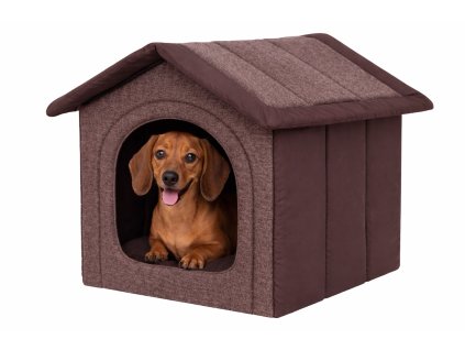 domecek horska chata se psem hneda