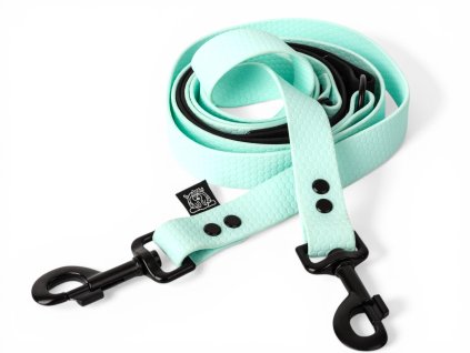 Photoroom 20260311 165204