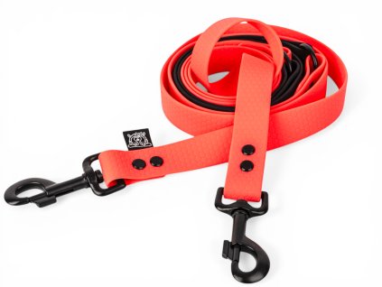 Photoroom 20260311 165240