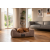 Pelech pro psa Buchtík CloudStripe – latté