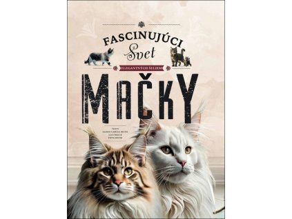 Mačky