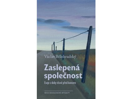 Zaslepená společnost