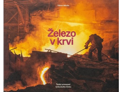 Železo v krvi