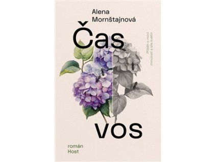 Čas vos