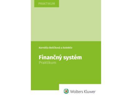 148104 financny system