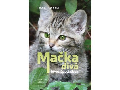 Mačka divá