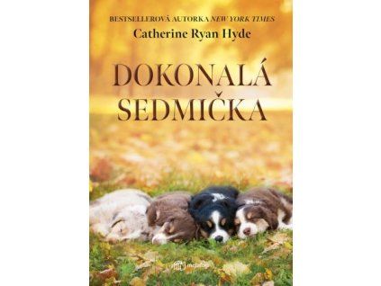 Dokonalá sedmička