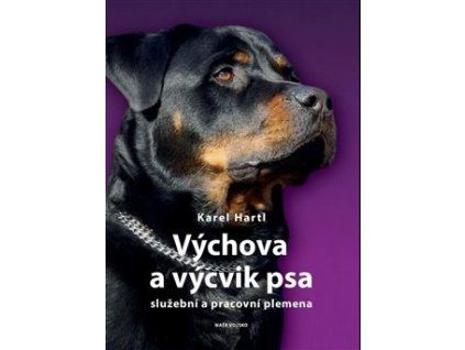 Výchova a výcvik psa