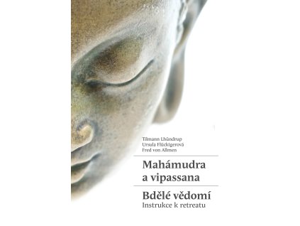 Mahámudra a vipassana - Bdělé vědomí