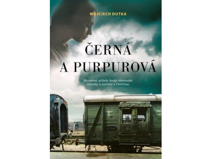 Černá a purpurová