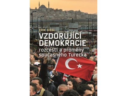 Vzdorující demokracie