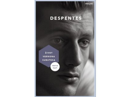 Život Vernona Subutexa 3