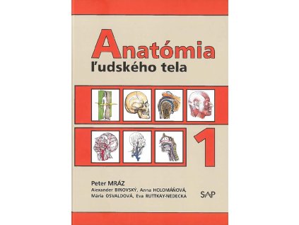 Anatómia ľudského tela 1