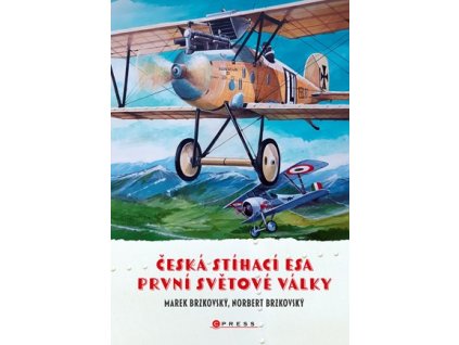 Česká stíhací esa první světové války