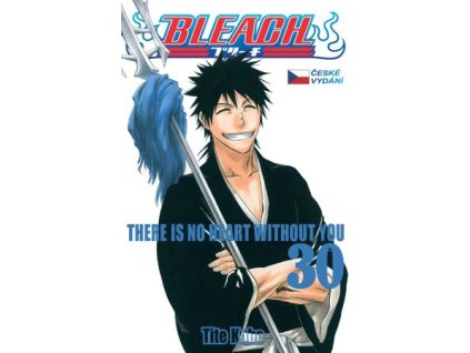 Bleach 30: There Is No Heart Withnout You
