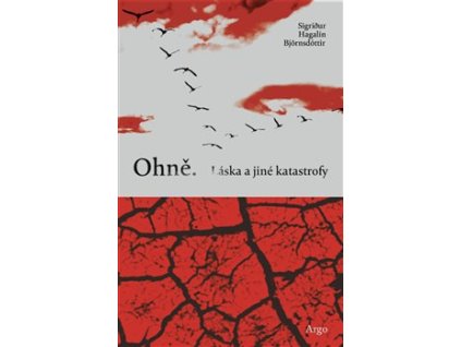 Ohně. Láska a jiné katastrofy