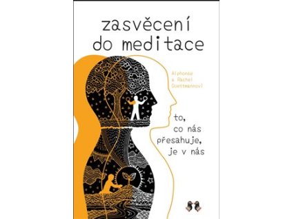 Zasvěcení do meditace