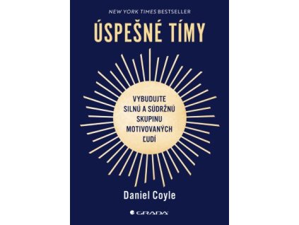 Úspešné tímy