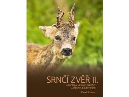 Srnčí zvěr II.