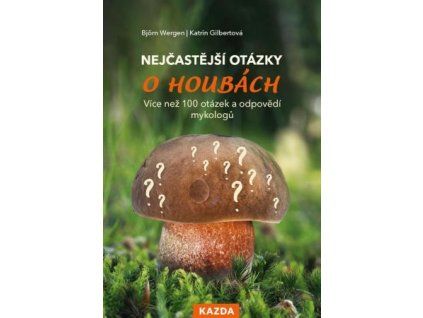 Nejčastější otázky o houbách