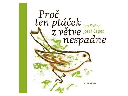 Proč ten ptáček z větve nespadne