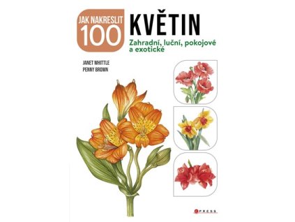 Jak nakreslit 100 květin
