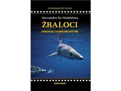 Žraloci, dokonalí vodní predátoři
