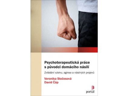 Psychoterapeutická práce s původci domácího násilí