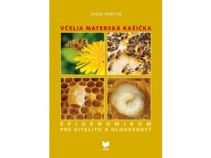 Včelia materská kašička