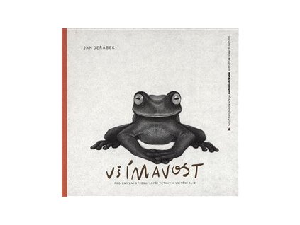 Všímavost pro snížení stresu, lepší vztahy a vnitřní klid