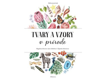 Maľovaná príroda - Tvary a vzory v prírode