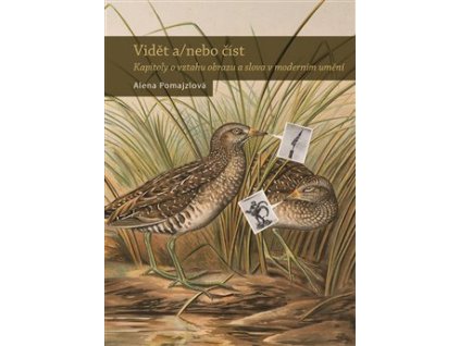 Vidět a/nebo číst