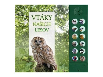 Vtáky našich lesov