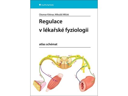 Regulace v lékařské fyziologii