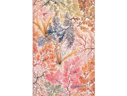 Diář Anemone 2024/2025