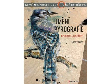 Umění pyrografie