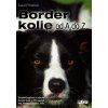 Border kolie