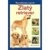 120087 zlaty retriever