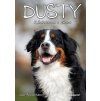 Dusty 9: Záchranca v núdzi
