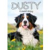 Dusty 8: Zradné stopy