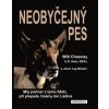Neobyčejný pes